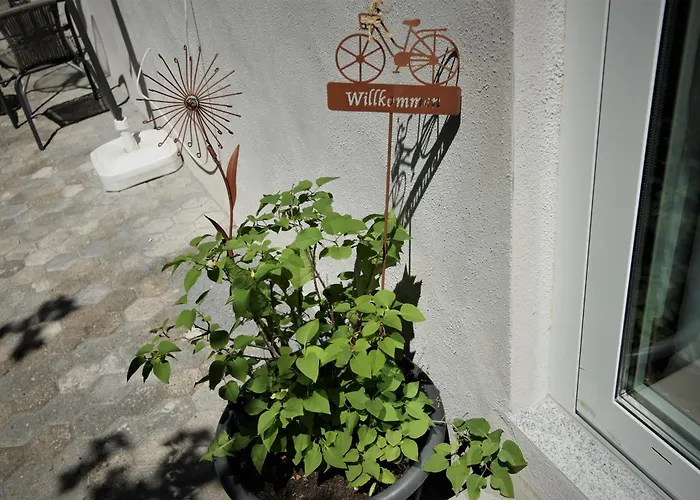 Mill Valley * Koblencja